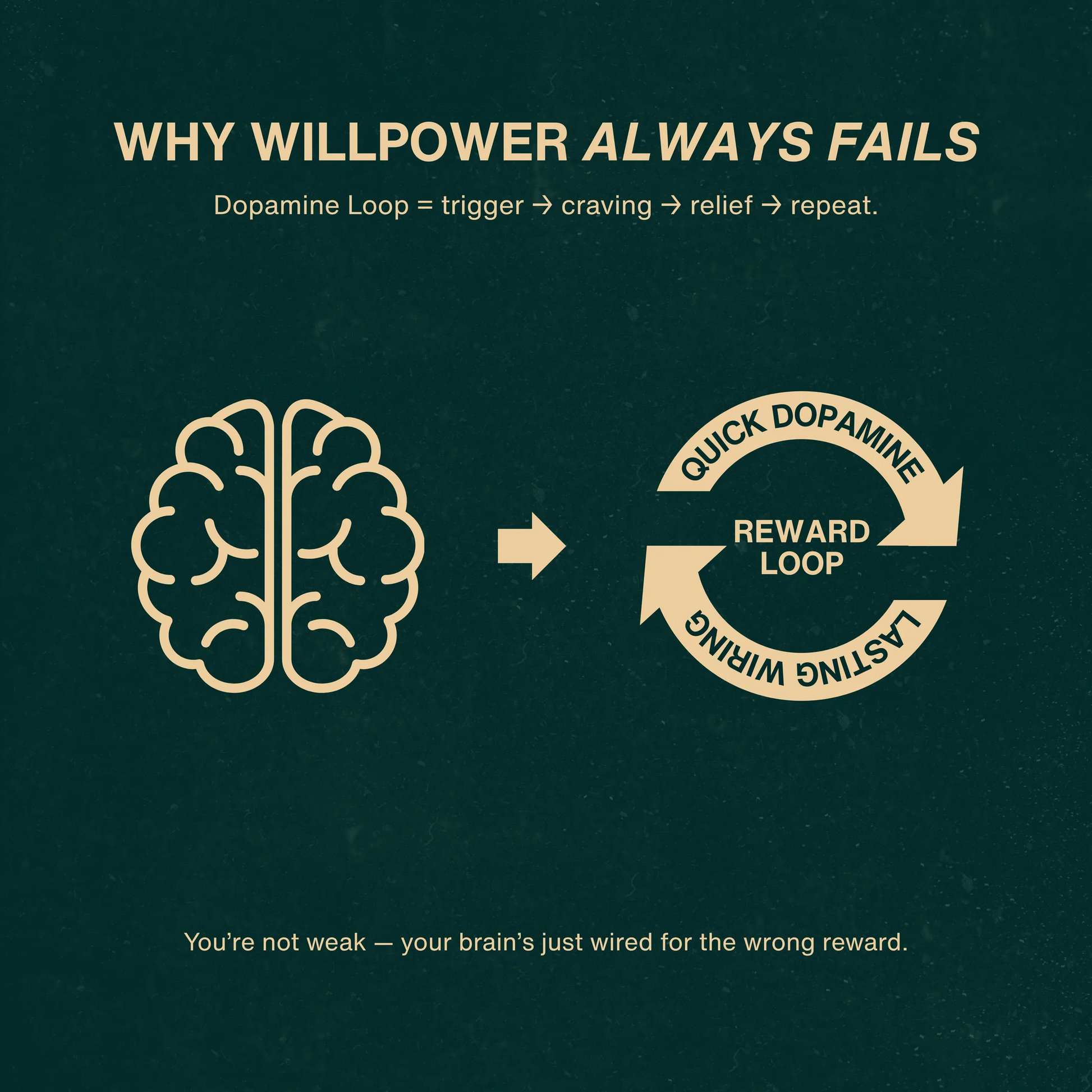 Infographic titled ‘Why willpower always fails’ illustrating a dopamine reward loop with a brain icon and circular arrows labeled quick dopamine and lasting wiring.